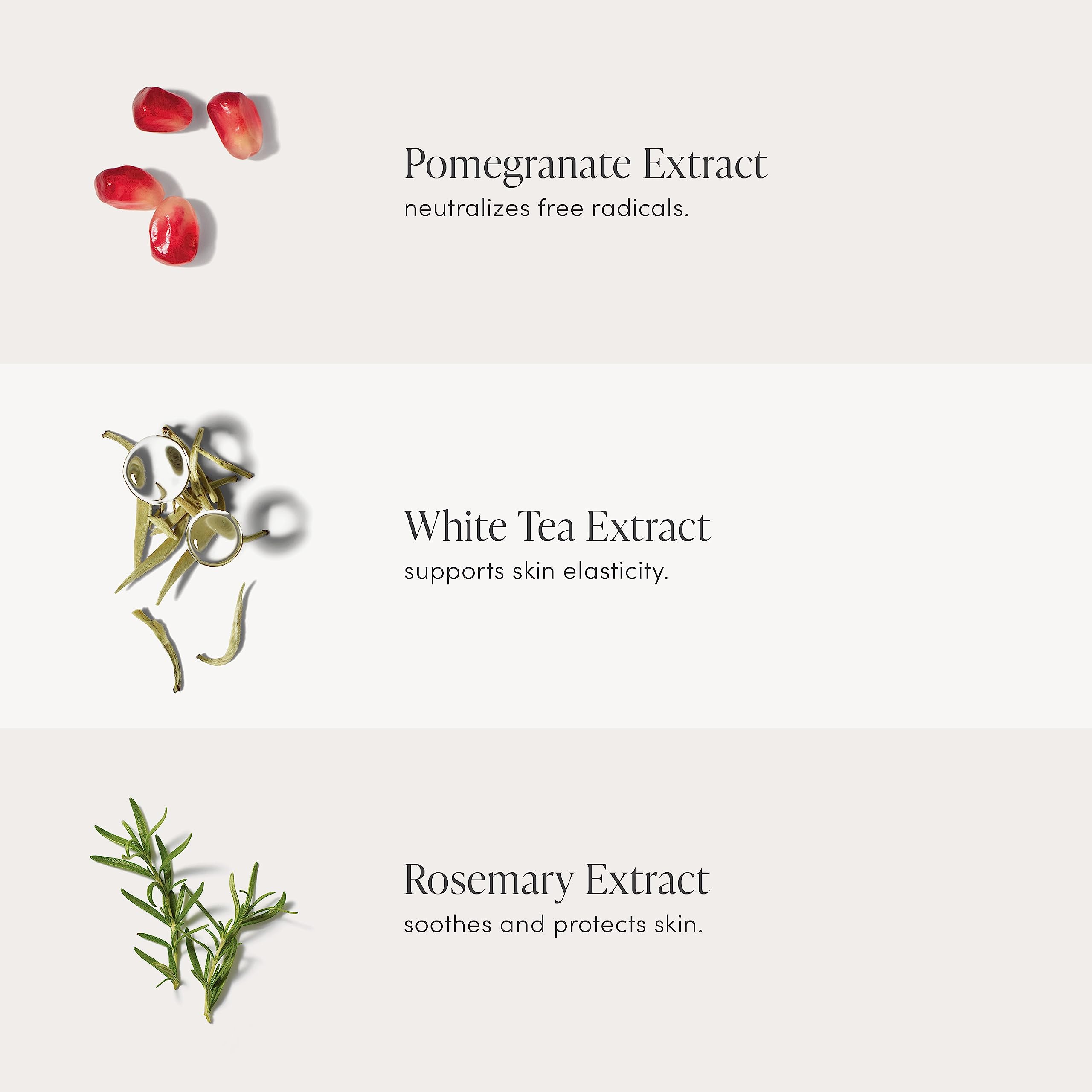 Jane Iredale Pommisst ingredients include pomegranate, white tea, rosemary for antioxidant support.