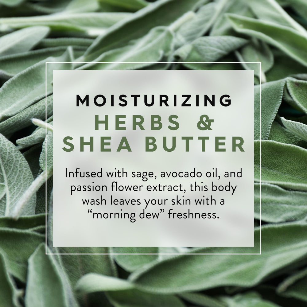 JASON product describes morning dew scent inviting a relaxing shower ritual