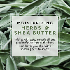JASON product describes morning dew scent inviting a relaxing shower ritual
