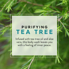 JASON Tea Tree Purifying Body Wash lather shows rich foam for soothing cleansing.