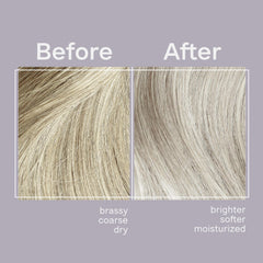 Jhirmack Silver Brightening Purple Shampoo 4-pack front view highlighting brassy-tone reduction on gray hair