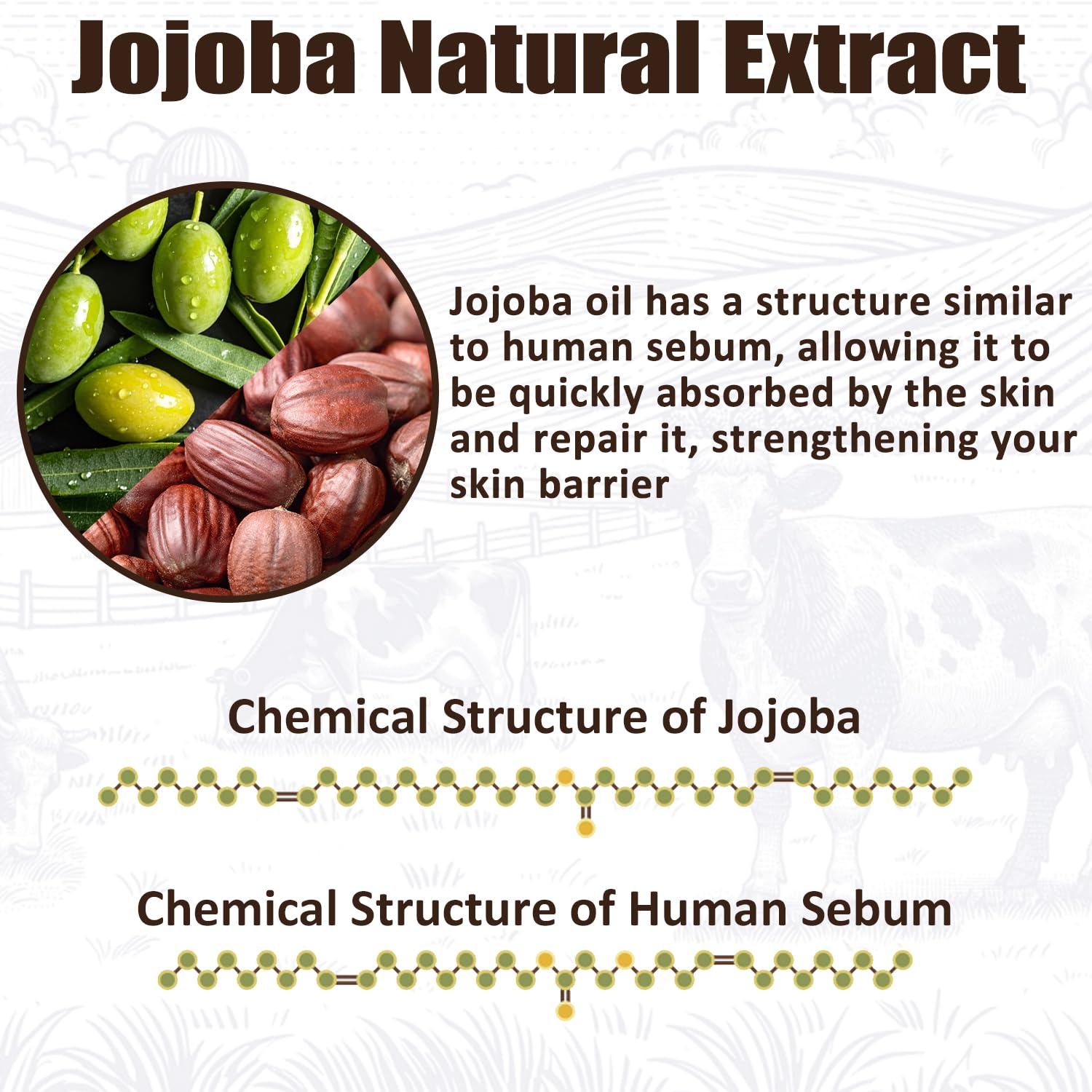 JIIANERY whipped-tallow texture demonstrates lightweight absorption for makeup-ready skin.
