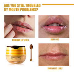 JISKG lip balm honey pot close-up highlighting propolis ingredients for moisturized lips