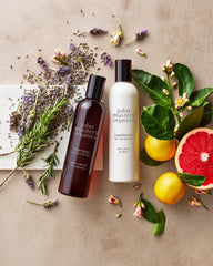 John Masters Organics Daily Nourishing Shampoo rosemary foam lather promotes scalp refreshment and shine