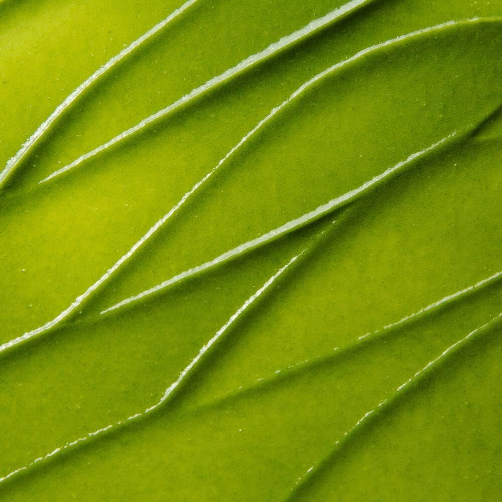 Kate Somerville Exfolikate ingredients include fruit enzymes and soothing Aloe Vera.