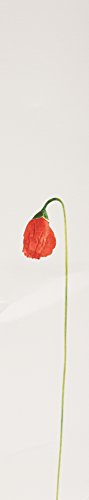 Kenzo Flower spray application demonstrates easy daily use with a fine mist.
