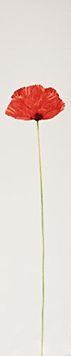 Kenzo Flower for women—versatile fragrance suitable for daily wear.