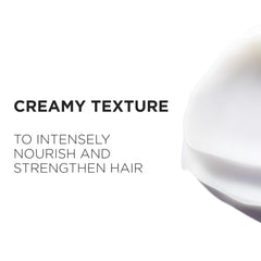 KÉRASTASE Genesis Hair Mask edelweiss-ginger ingredients highlight protective and strengthening benefits