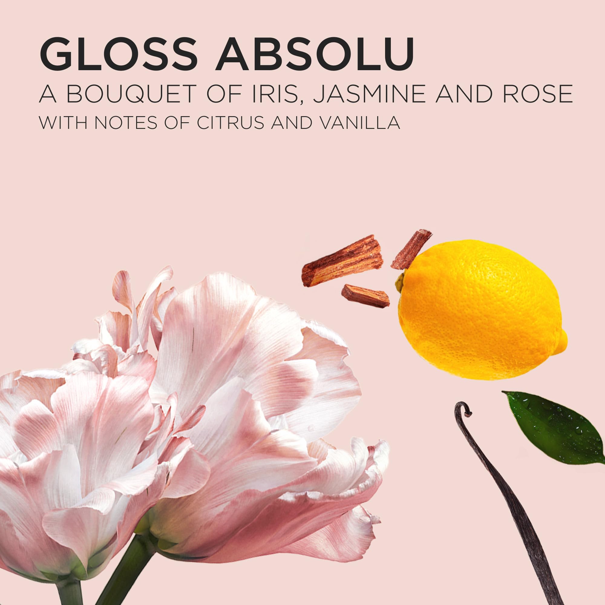 Kerastase Gloss Absolu shine promise visuals indicate radiant strands