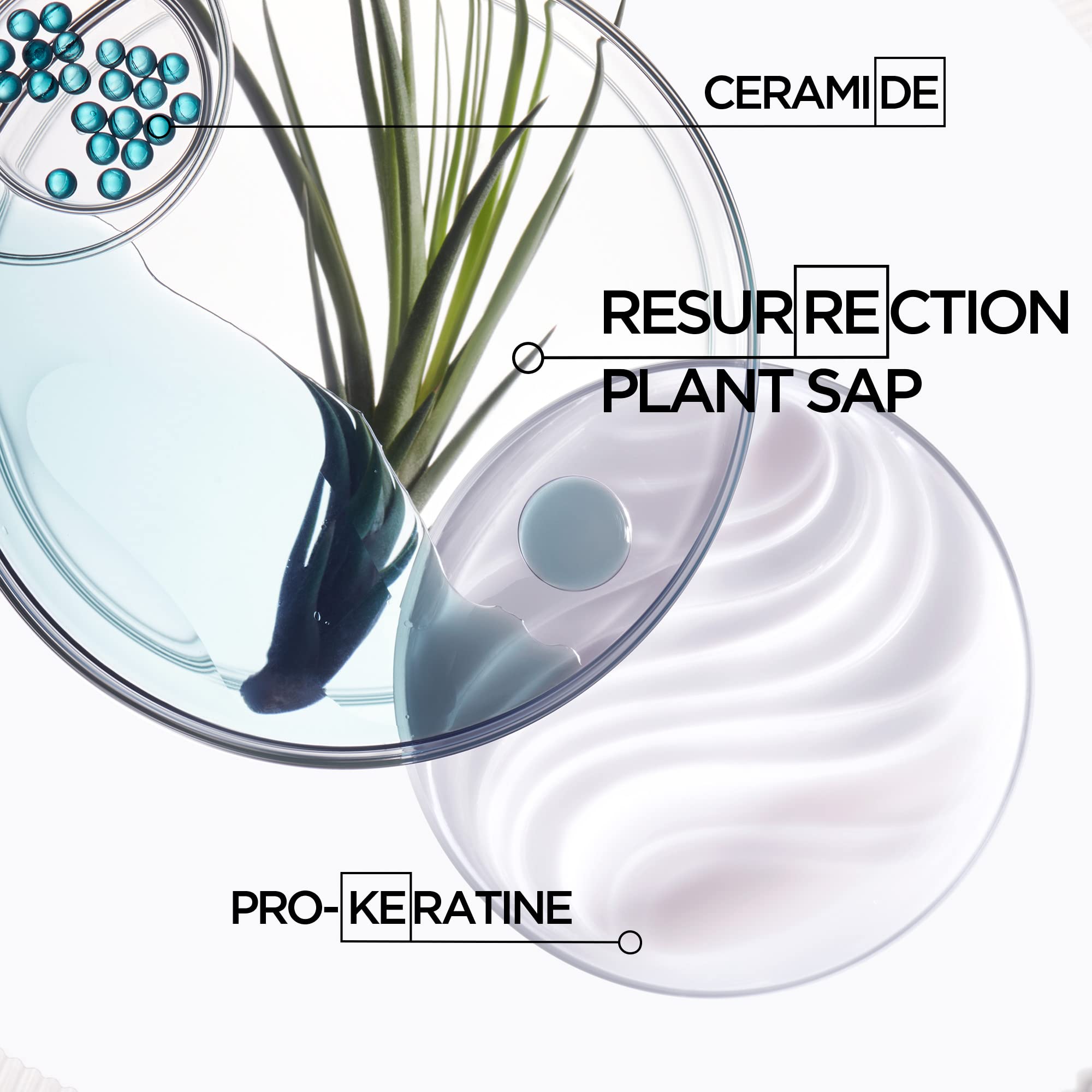 KÉRASTASE Resistance Ciment Anti-Usure resurrection sap feature emphasizes deep-fiber restoration