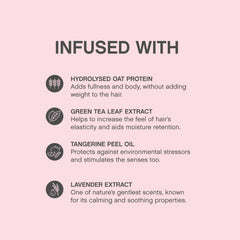 KEVIN.MURPHY ANGEL.WASH label closeup shows free from sulfates and parabens