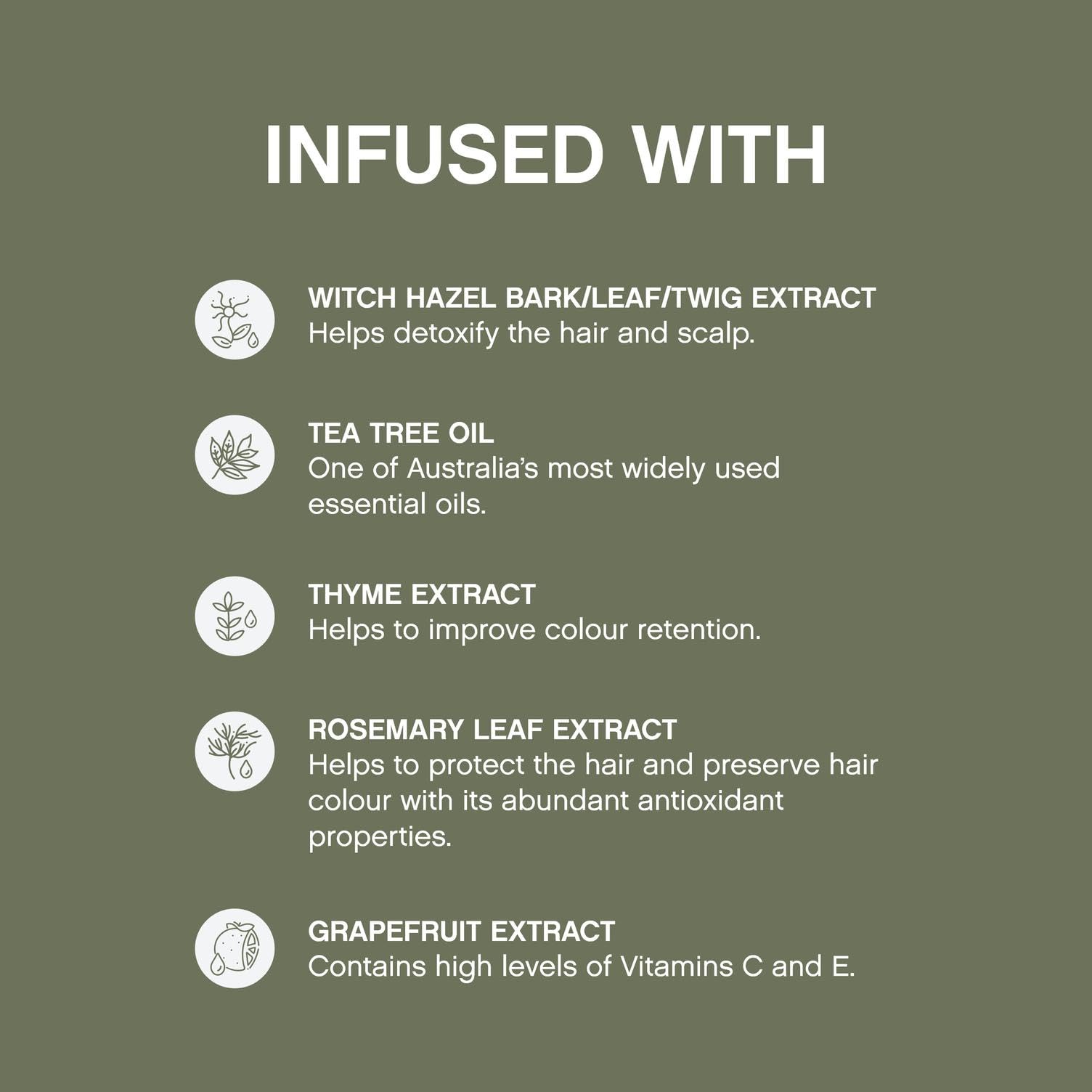 Kevin.Murphy Maxi.Wash Tea Tree ingredient highlight for scalp refresh and residue removal.