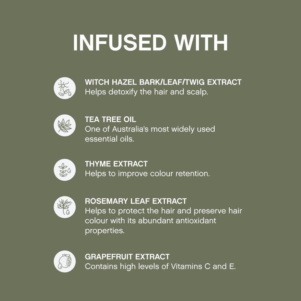 Kevin.Murphy Maxi.Wash Tea Tree ingredient highlight for scalp refresh and residue removal.