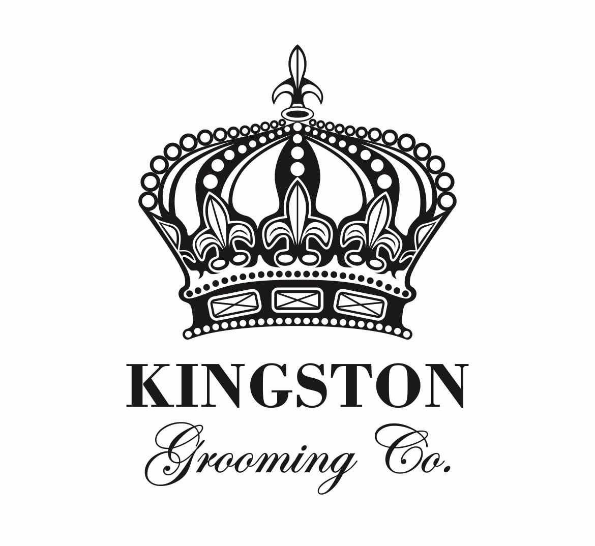 Kingston Grooming Co Original Wave Brush, packaging shows travel-ready grooming solution