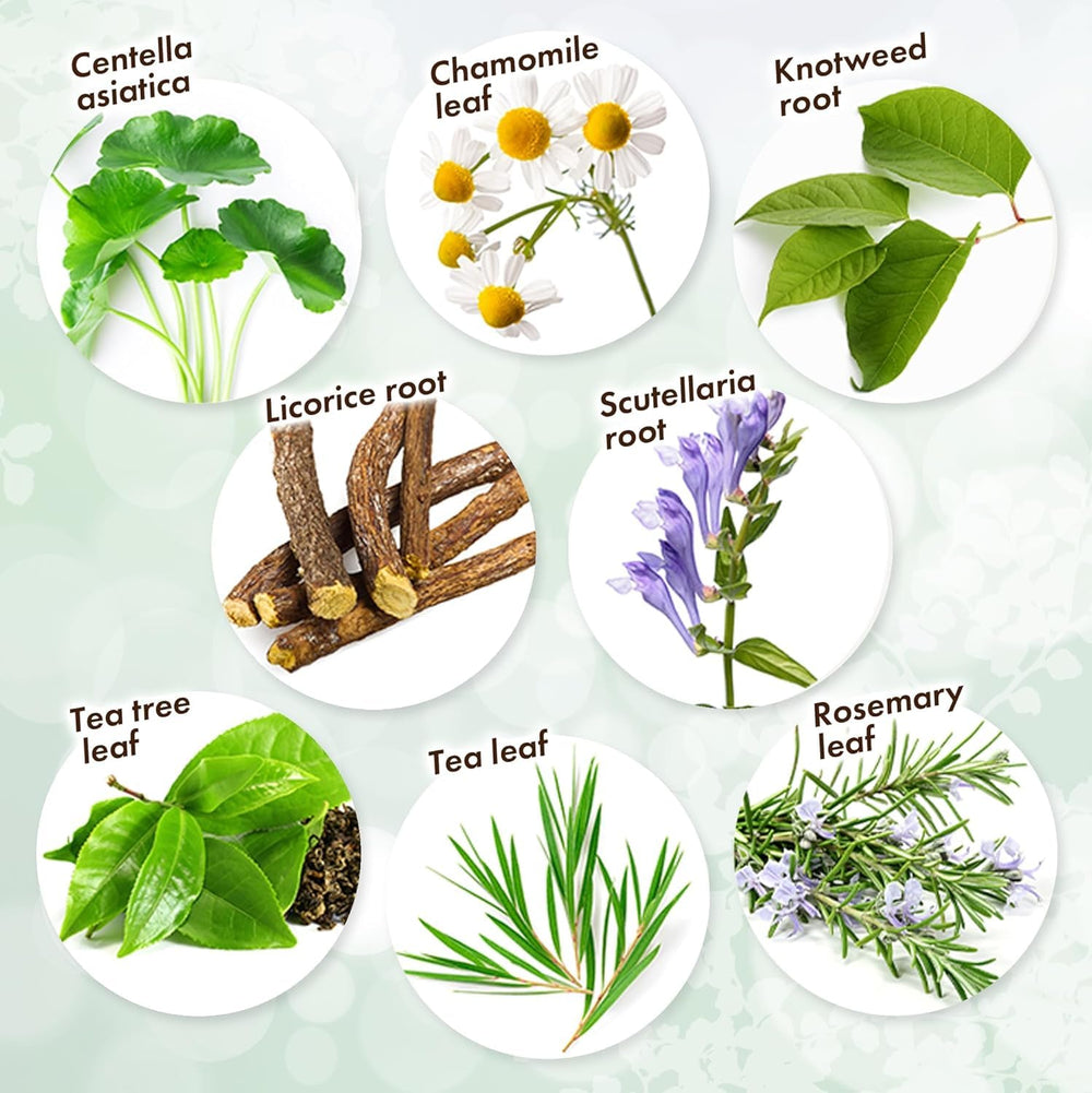 KisoCare rosemary leaf extract detail showing botanical care