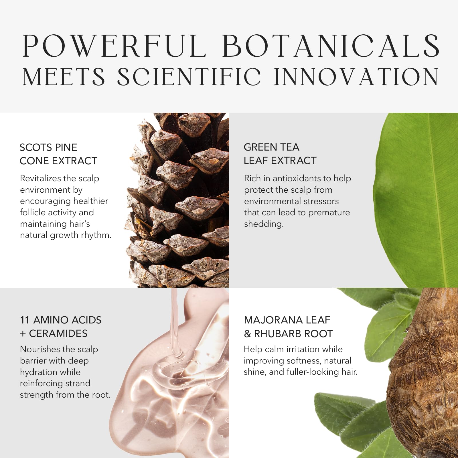 KIWABI Root Beauté quick-absorb formula leaves no greasy residue.
