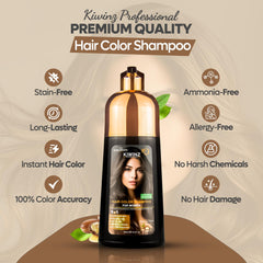 Kiwinz Professional with gloves applying color for quick grey coverage
