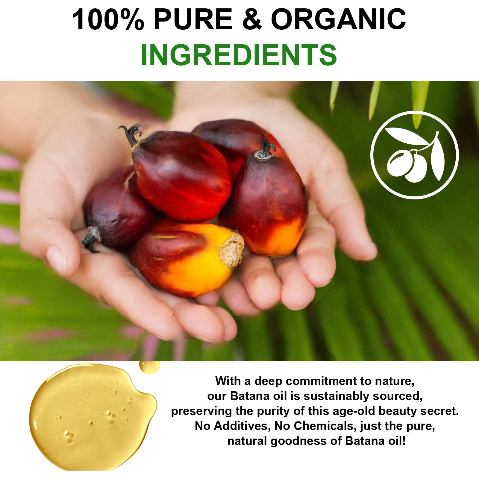 KPNEMA Batana oil on hair – smooth, strengthened strands with natural nourishment