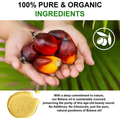 KPNEMA Batana oil on hair – smooth, strengthened strands with natural nourishment