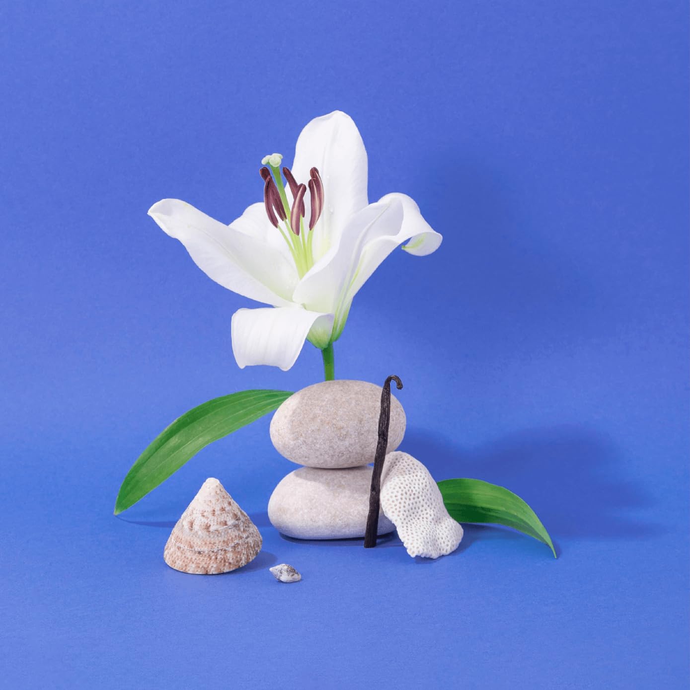 La Compagnie de Provence bathroom scene showing versatile daily use.