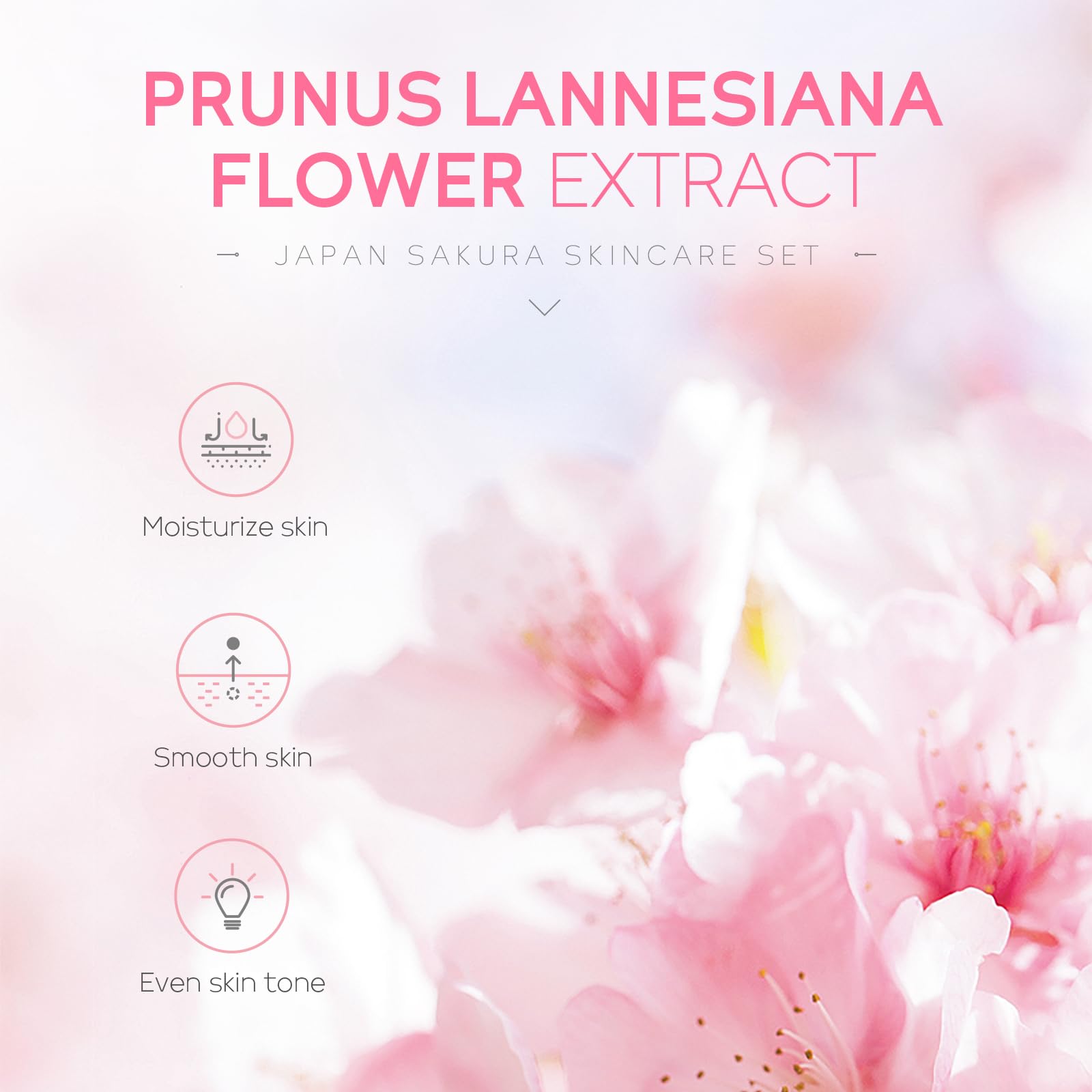 LAIKOU Sakura toner promotes balanced hydration and smoother texture.