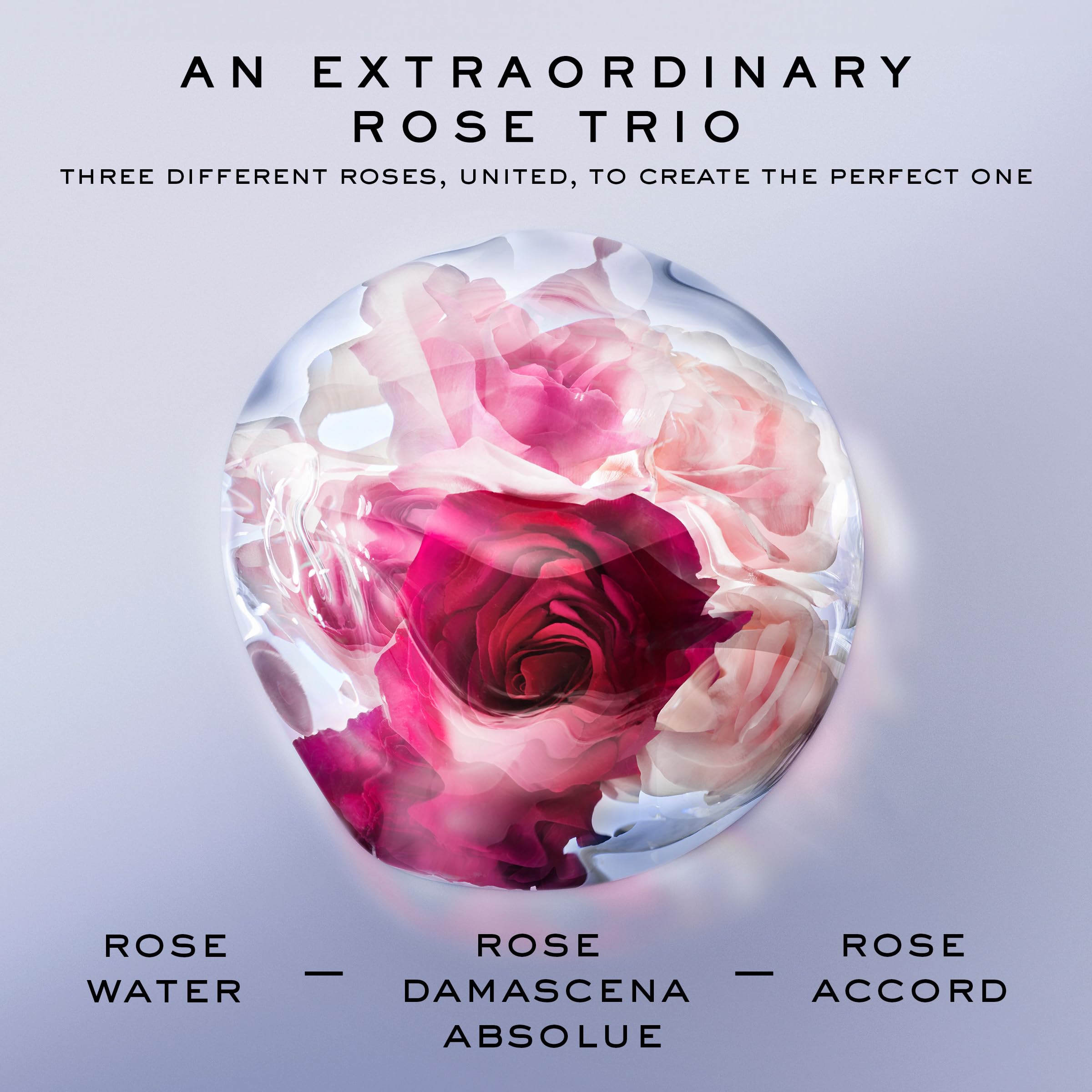 Lancôme La Vie Est Belle Rose Extraordinaire iris note aroma hints at powdery elegance