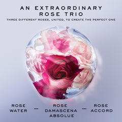 Fresh rose water and rose accord detail highlighting rose facets.