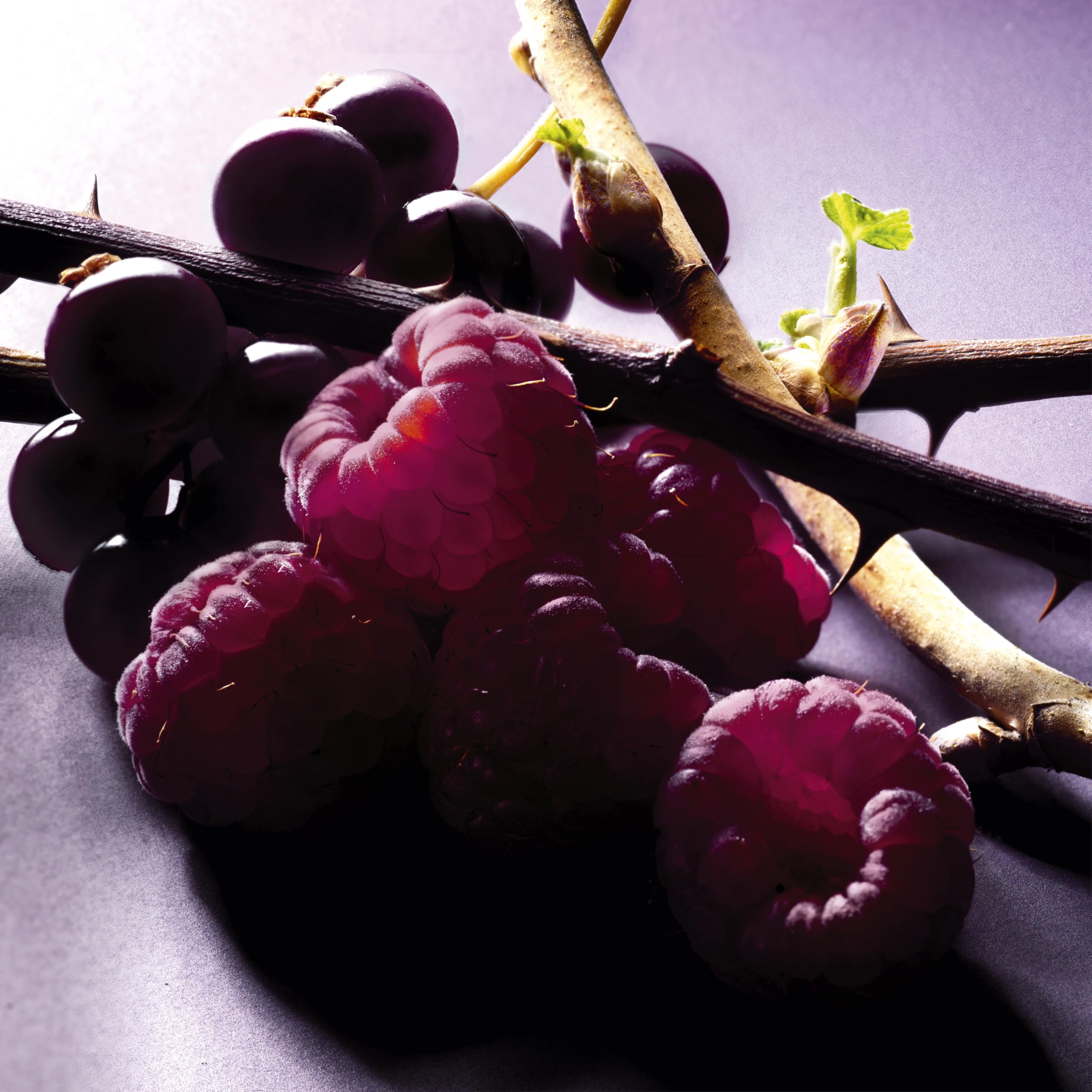 Lancôme Trésor Midnight EDP fragrance-dispensing shot shows raspberry and blackcurrant opening.