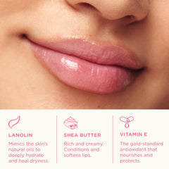 Lanolips Rhubarb tinted lip balm packaging highlighting sustainable lanolin benefits.