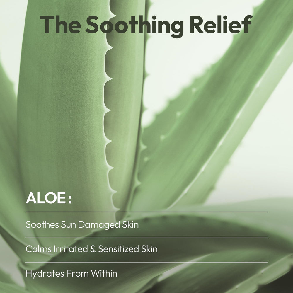 LAPCOS Aloe Sheet Mask unfolded, ready for a quick pampering session.