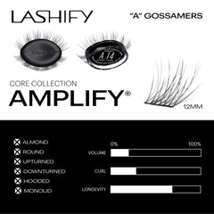 Lashify Amplify fuse-control wand application with precise tool guidance for better results.