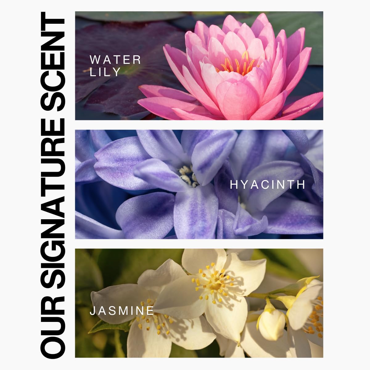 Lasio Hypersilk packaging box showcases sulfate-free color-safe care.