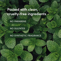 Hotel-quality packaging of LATHER Mint Thyme Hair Wash