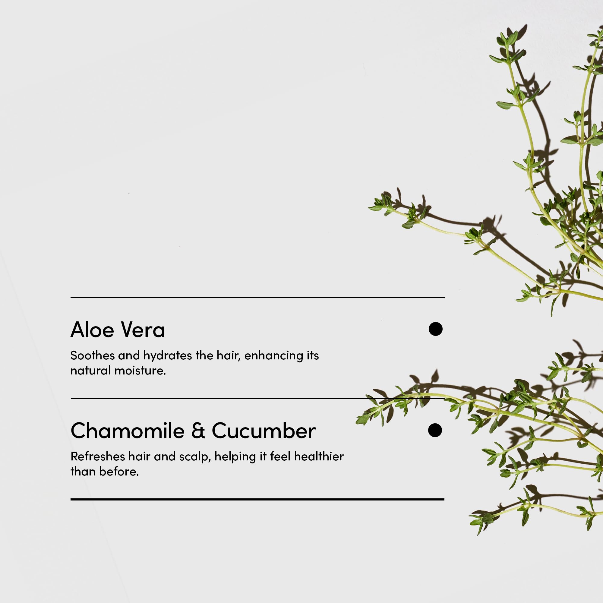 Peppermint thyme oil drop imagery for wakeful scent in LATHER product