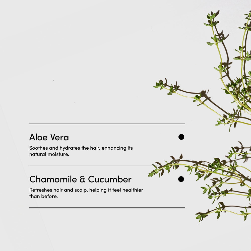 Peppermint thyme oil drop imagery for wakeful scent in LATHER product