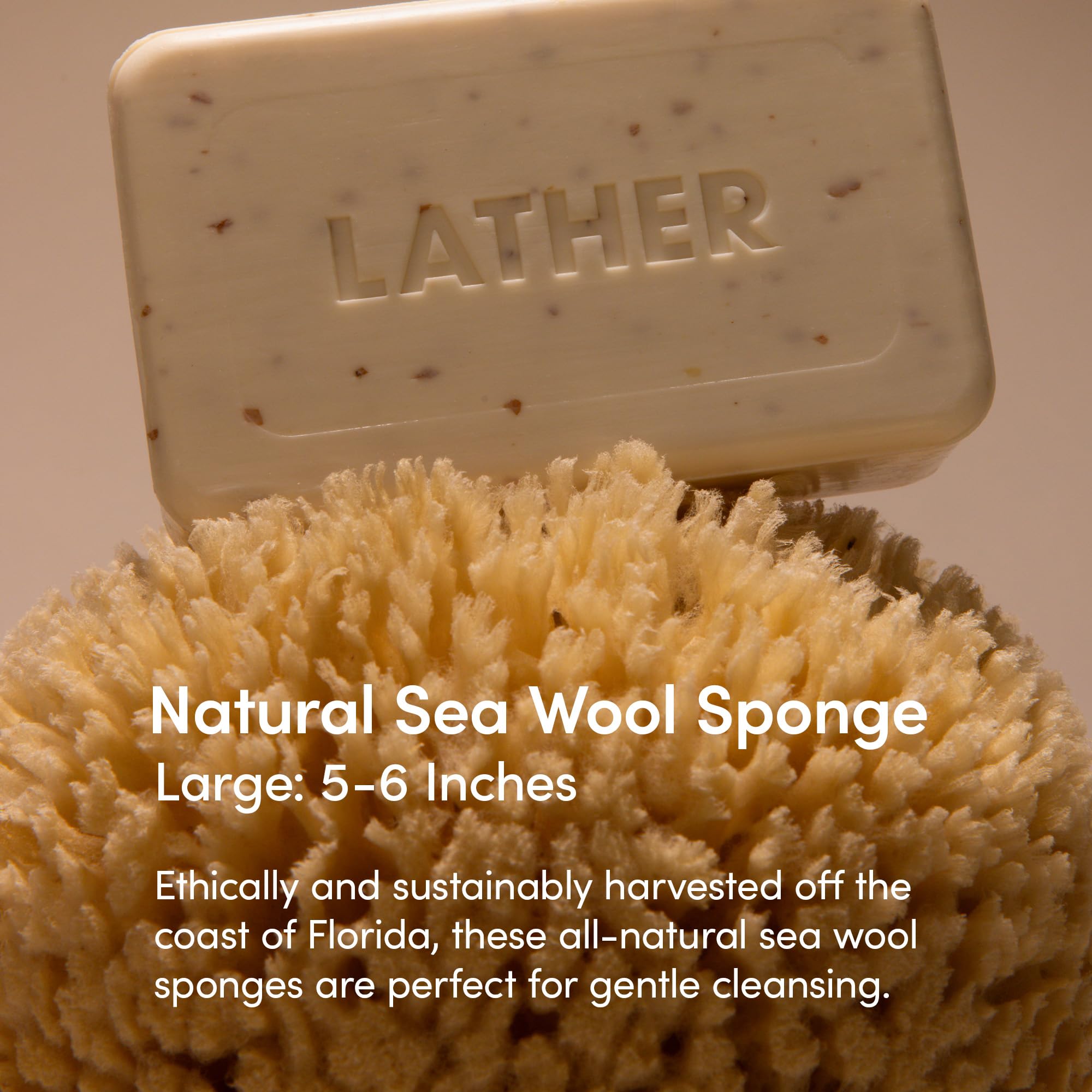 LATHER sea wool sponge close-up texture highlighting soft feel when wet.