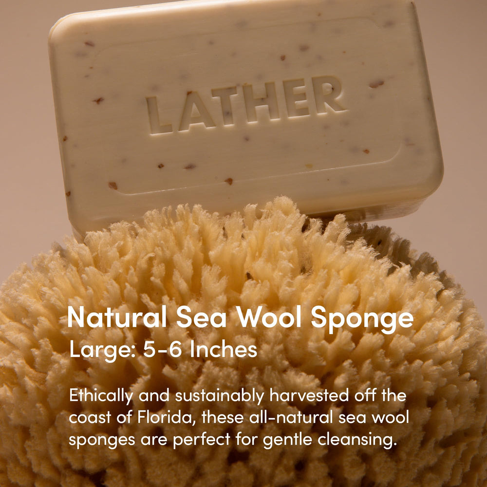 LATHER sea wool sponge close-up texture highlighting soft feel when wet.