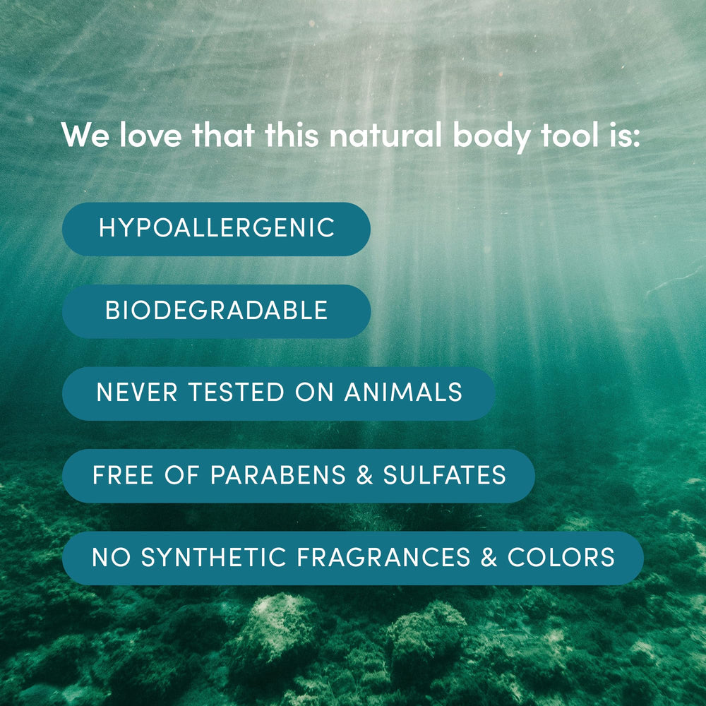 LATHER eco-friendly sponge emphasizing sustainable harvesting and cruelty-free beauty tools.