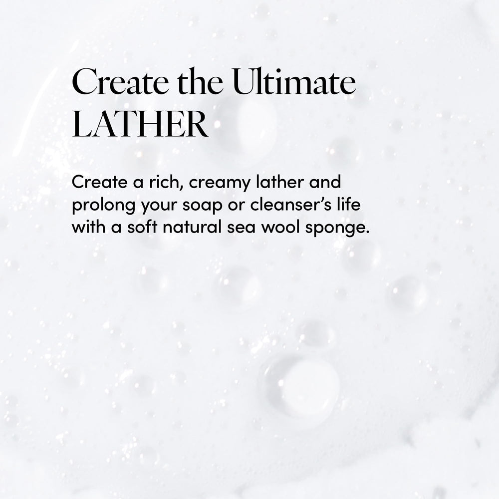 LATHER sea wool sponge ethically harvested for eco-friendly exfoliation and gentle cleansing