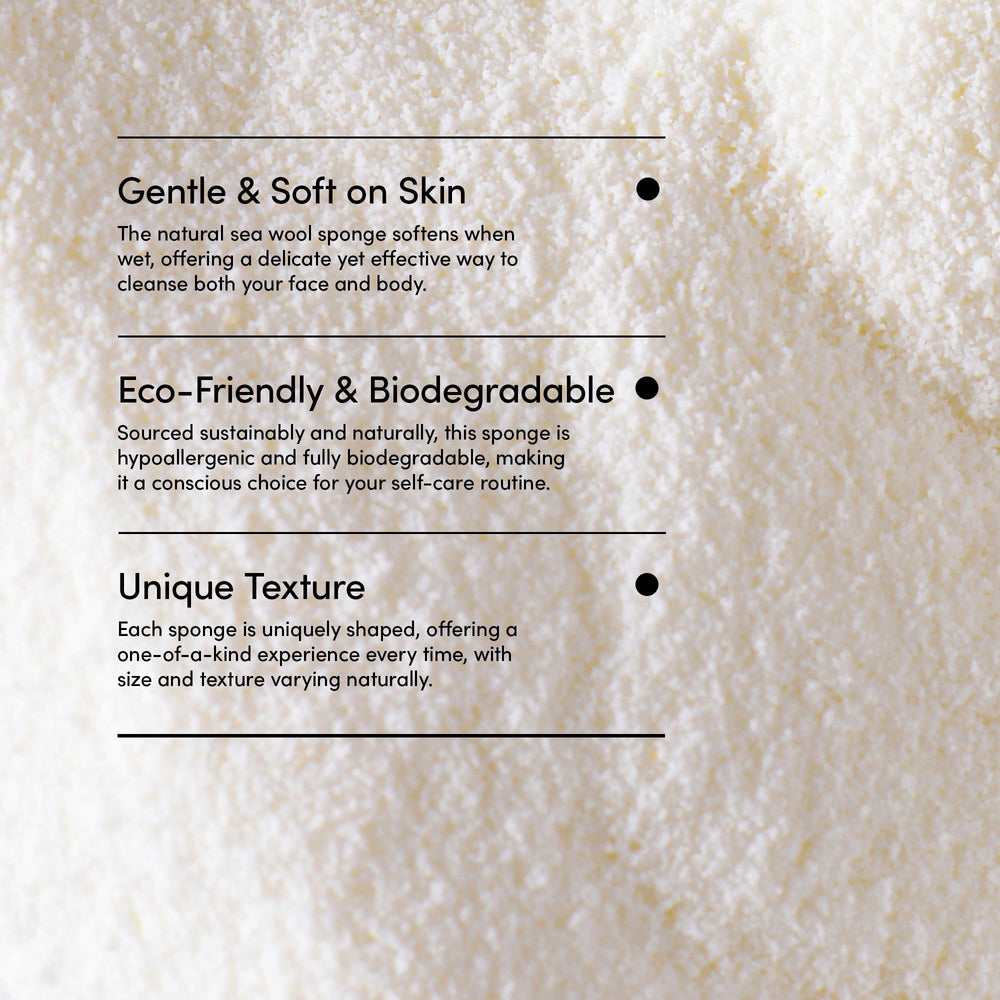 LATHER sea wool sponge in shower scene for spa-like self-care routine.