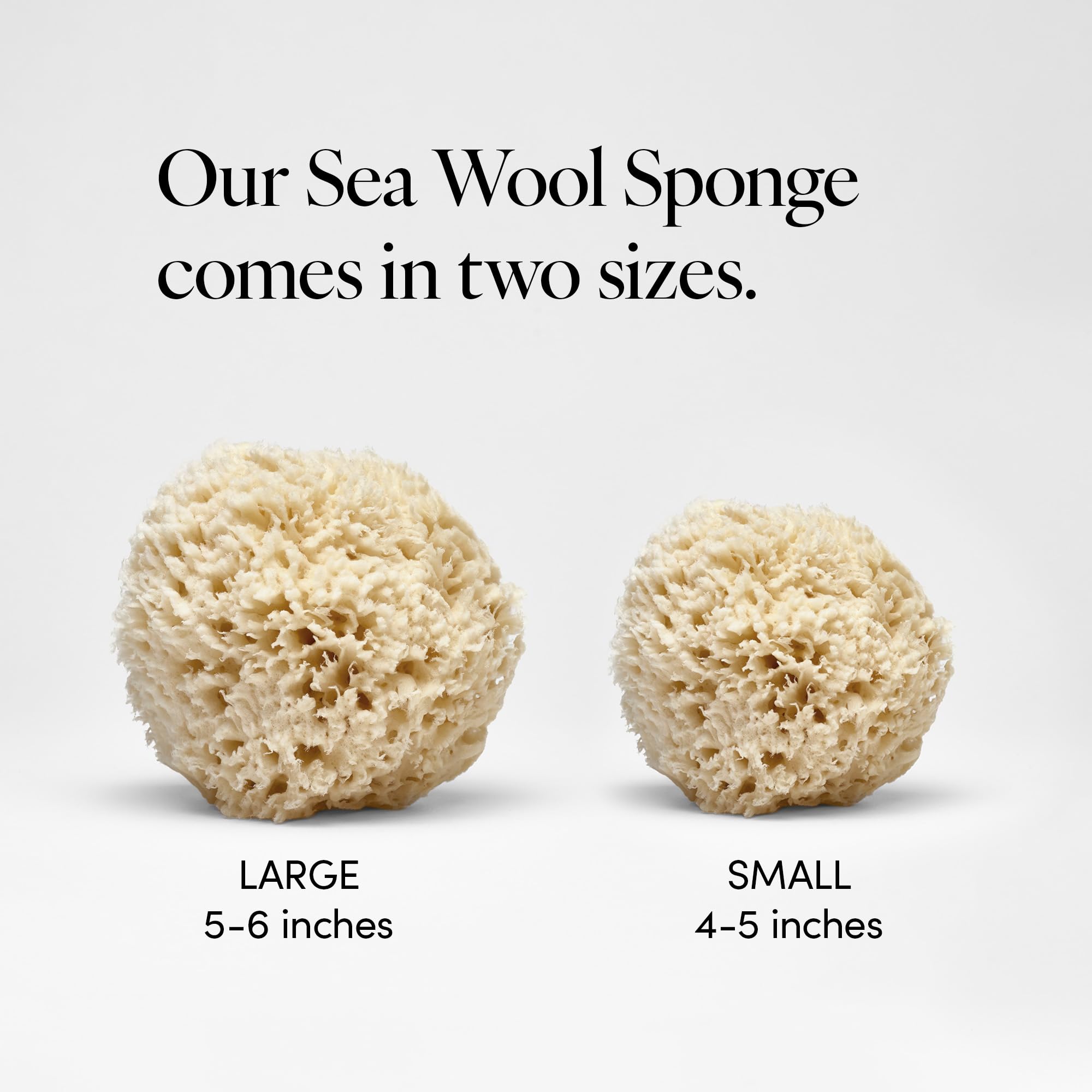 LATHER sea wool sponge in hand demonstrates gentle cleansing with water.