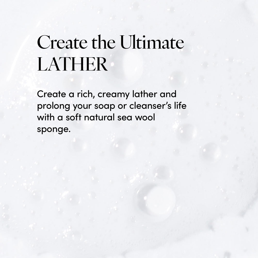 LATHER sea wool sponge with soap lather illustrating effective cleansing without harsh chemicals.