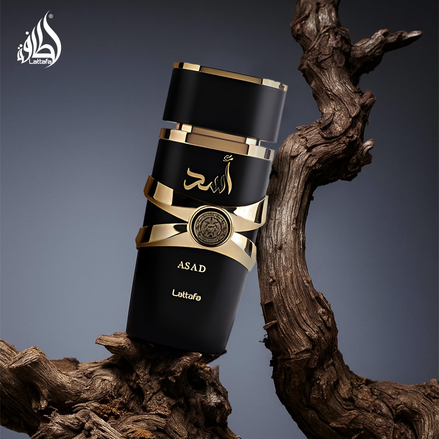 Lattafa Asad unisex use scenario illustrates versatile appeal across occasions.