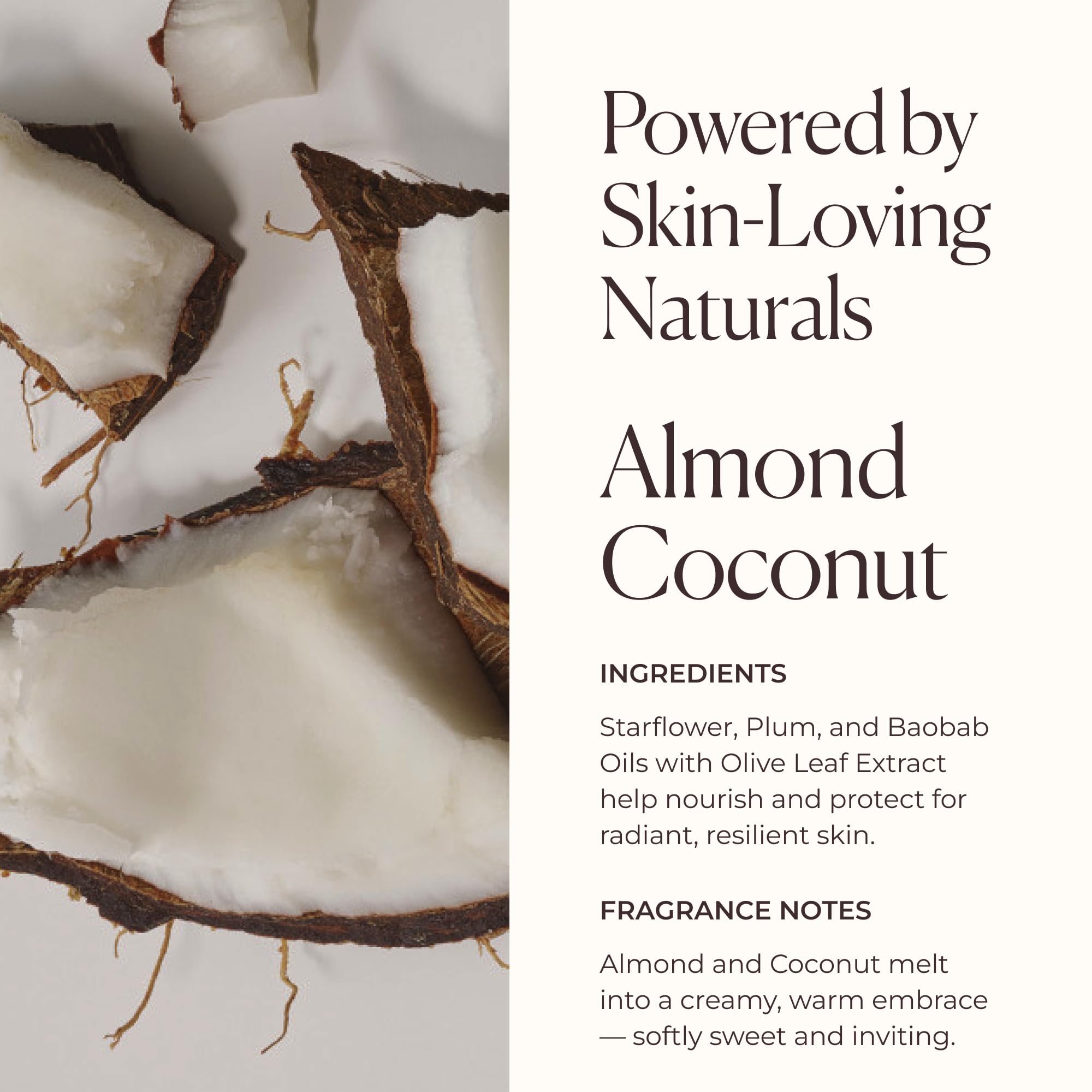 Laura Mercier Serum Body Cream ingredients highlight olive oil, plum seed oil, and glycerin for suppleness.