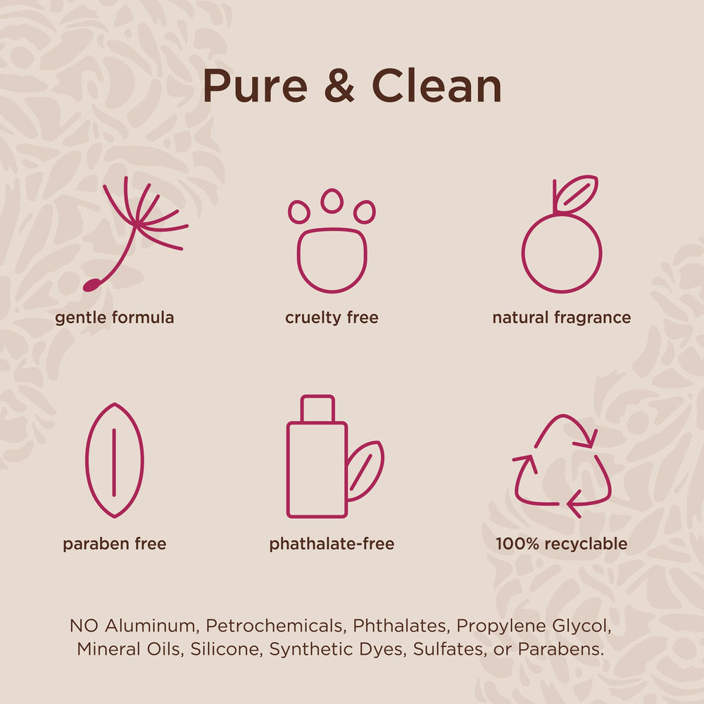 Lavanila Pure Vanilla notes highlighting vanilla, tonka bean and heliotrope for a creamy signature