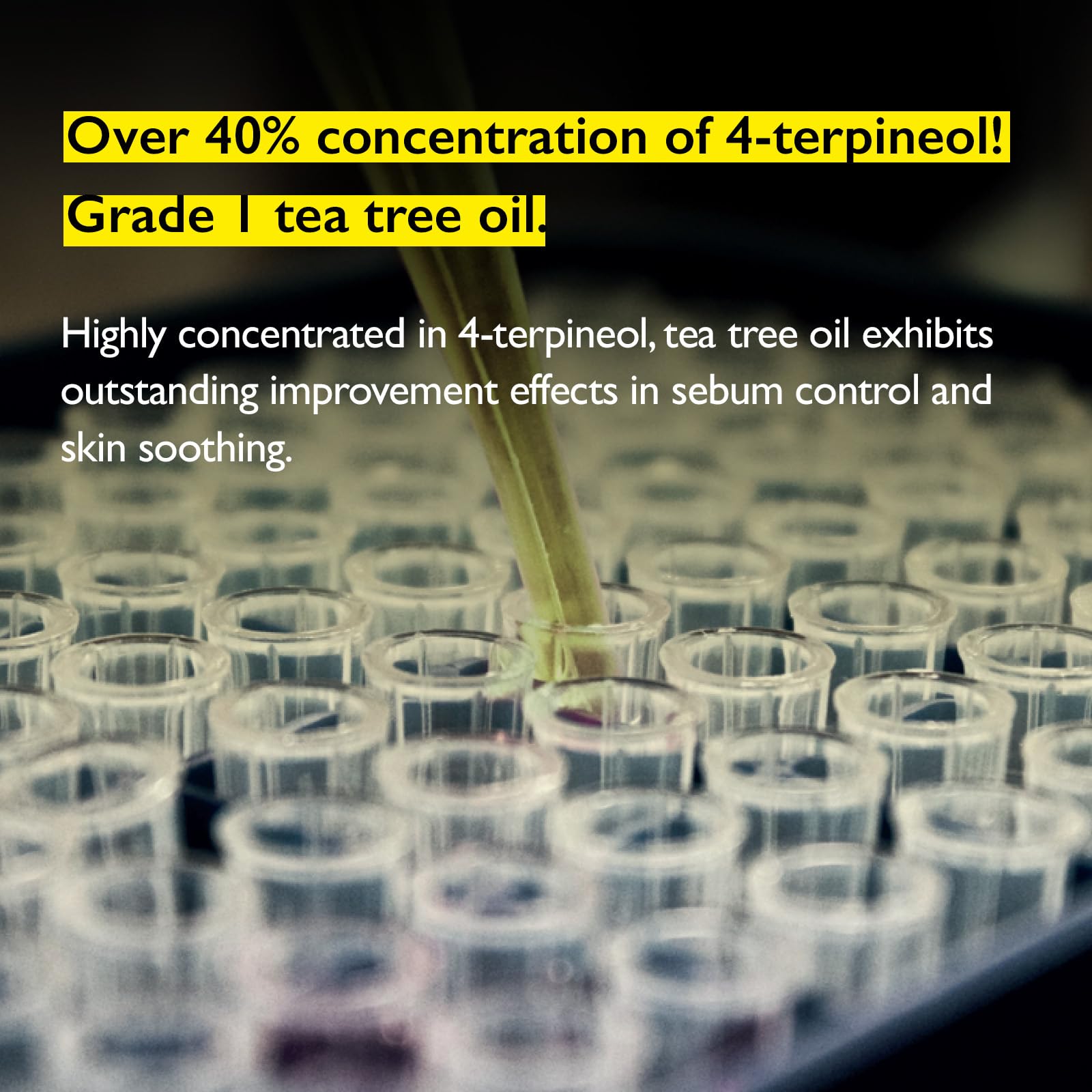 Lazy Society Tea Tree oil bottle image emphasizes 100% pure oil for acne-prone skin.