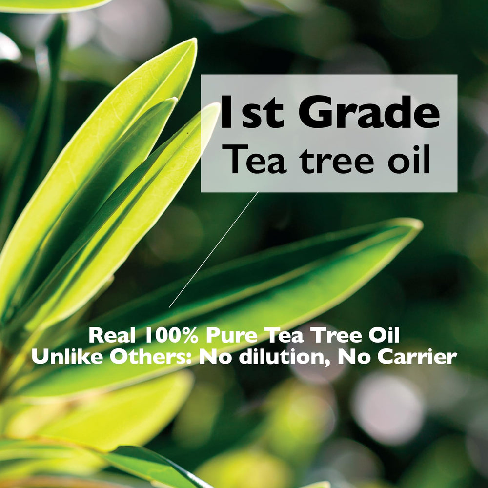 Lazy Society Tea Tree Roll-On on sensitive skin shows gentle spot care.