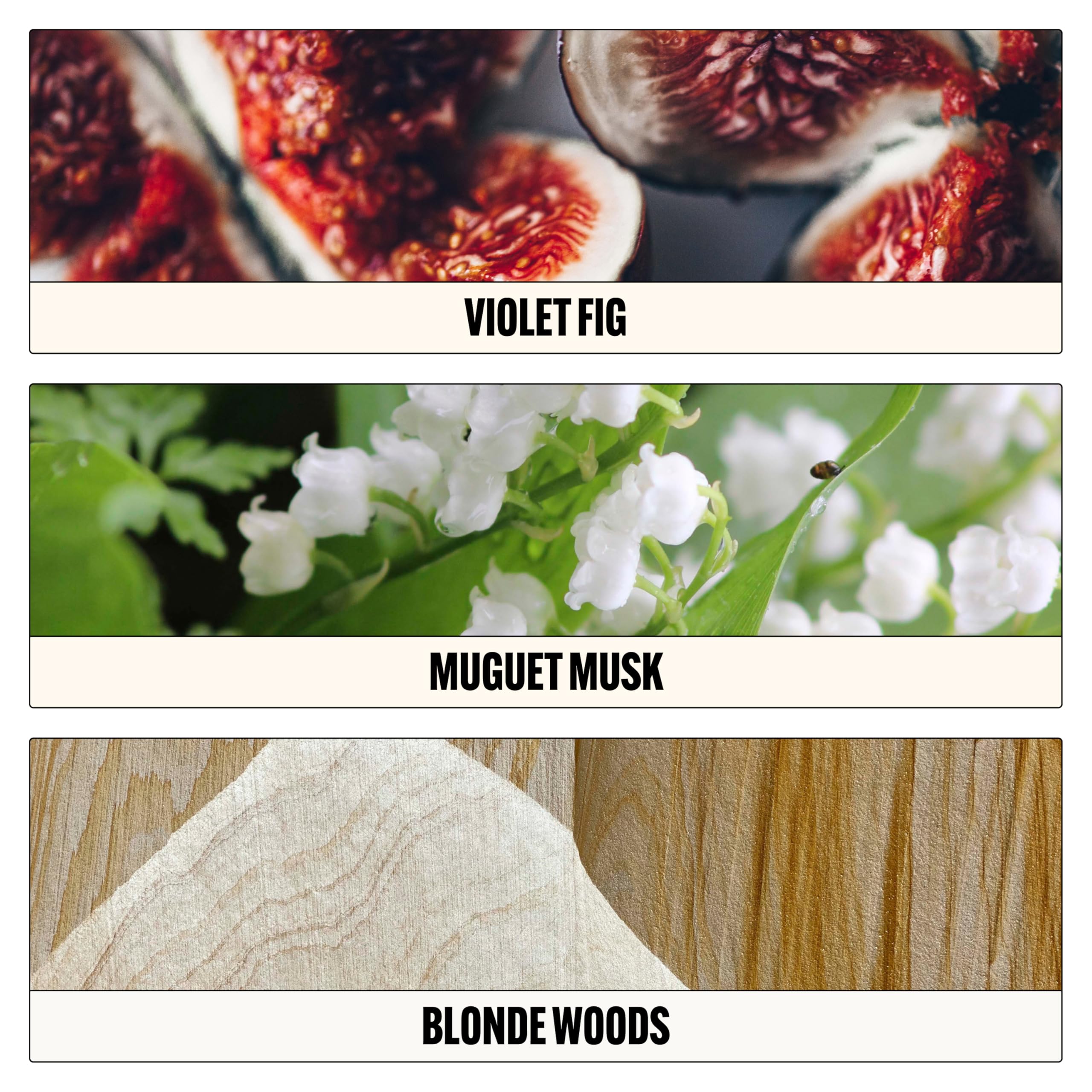 Le Monde Gourmand pulse-points close-up suggesting focused scent wear