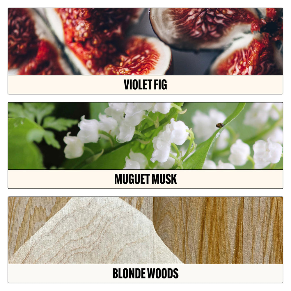 Le Monde Gourmand pulse-points close-up suggesting focused scent wear
