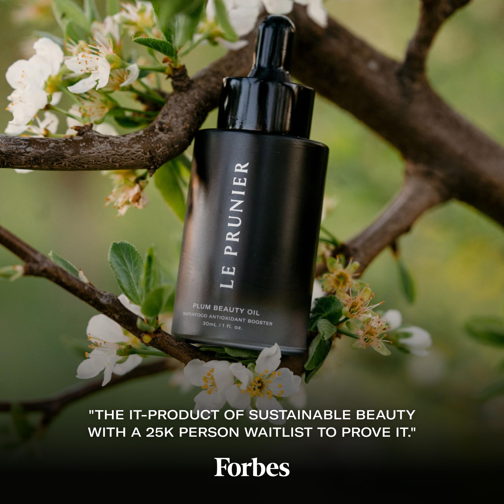 Le Prunier Plum Beauty Oil on damp hair ends provides heat protection and shine.
